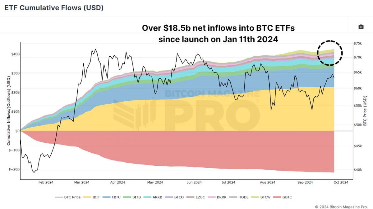 Maximizing Bitcoin Gains with ETF Data